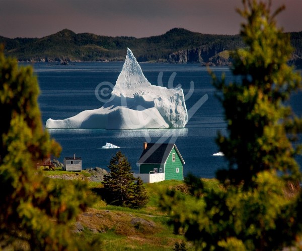 Back Harbour, iceberg & green house